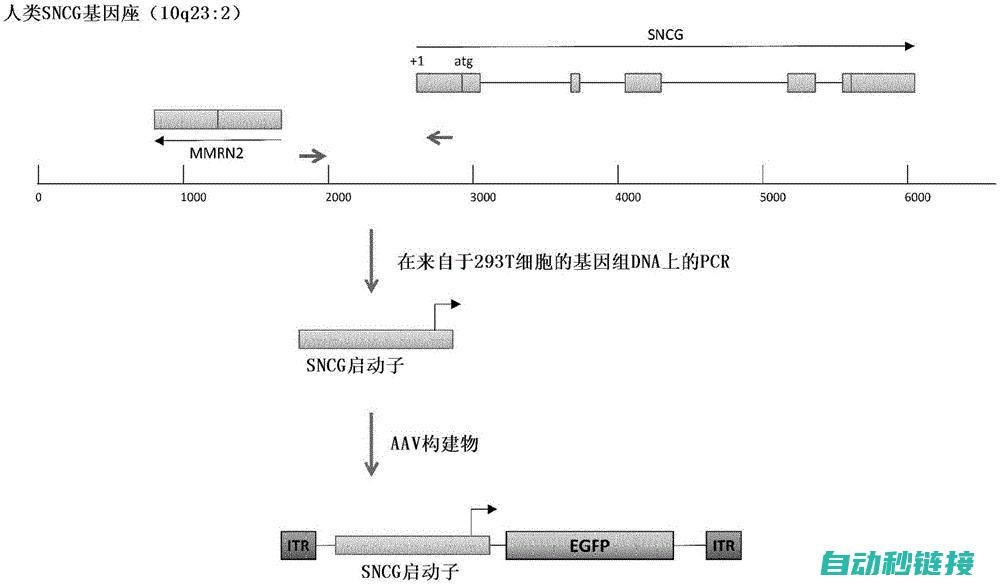 子程序的设定方法与技巧 (子程序的设计及调试)