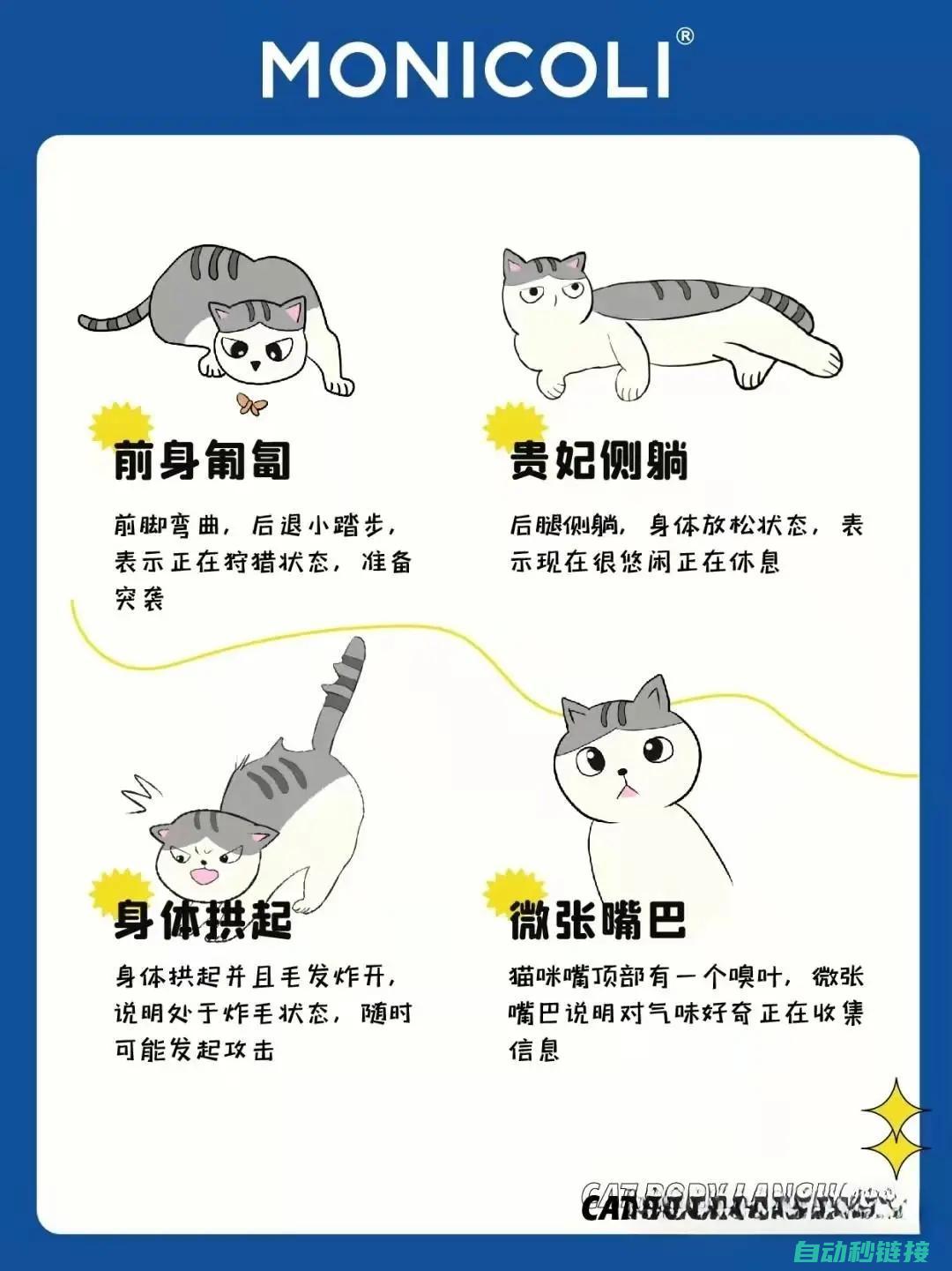 猫咪的语言：电工基础知识的神秘解读 (如何听懂猫咪的语言)